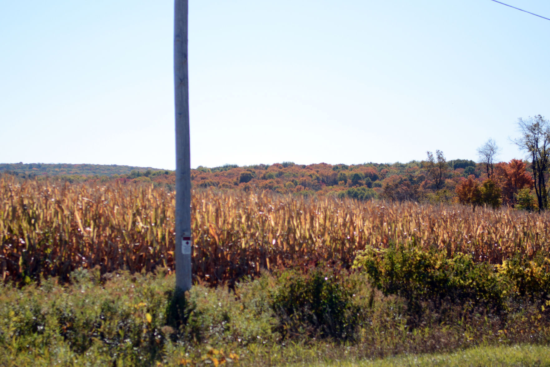 Baraboo area fall color, Oct. 8, 2020